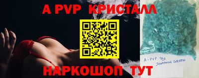 амф Новозыбков