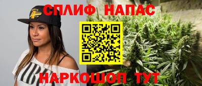 амф Новозыбков